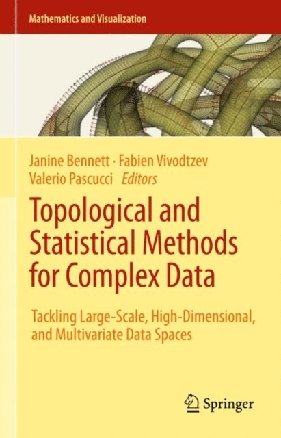 Valerio Pascucci, Fabien Vivodtzev, Janine Bennett - Topological and Statistical Methods for Complex Data, E-bok