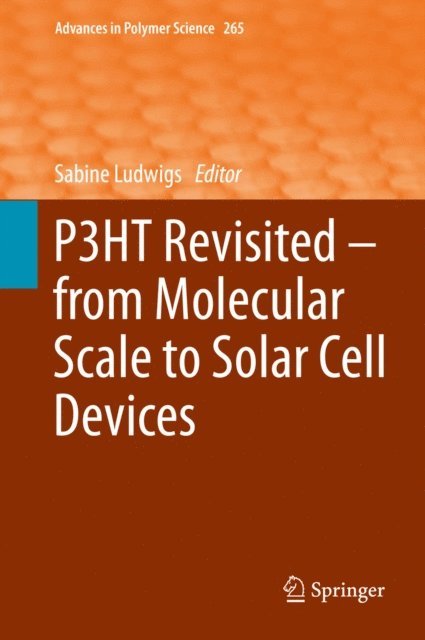 Sabine Ludwigs - P3HT Revisited - From Molecular Scale to Solar Cell Devices, E-bok