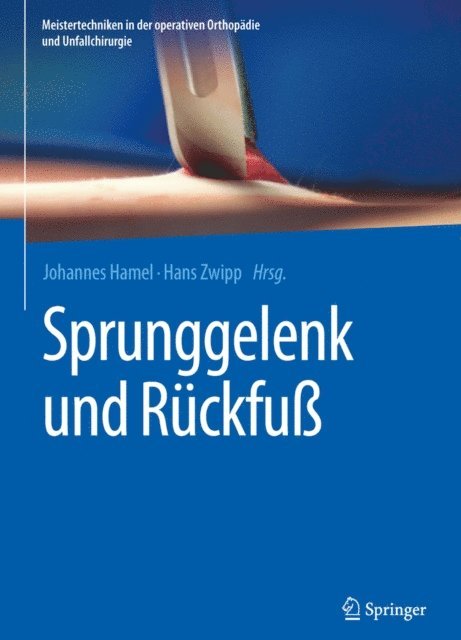 Hans Zwipp, Johannes Hamel - Sprunggelenk und Rückfuß, E-bok