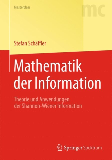 Stefan Schaffler - Mathematik der Information, E-bok