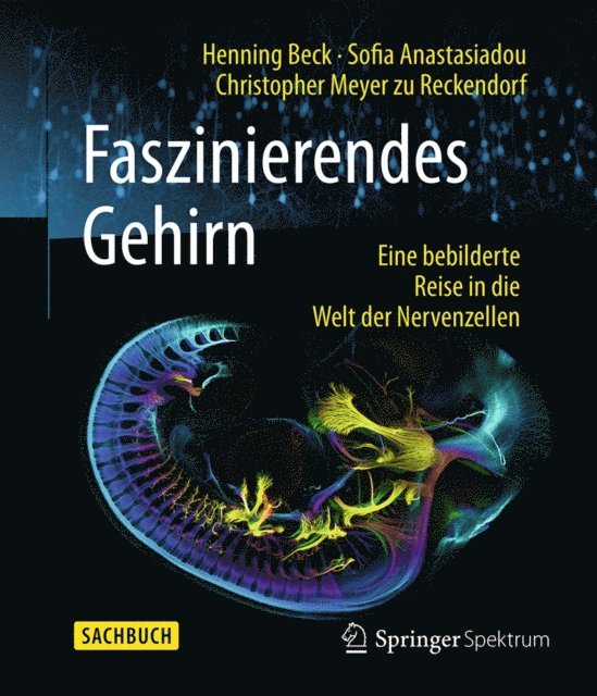 Christopher Meyer zu Reckendorf, Sofia Anastasiadou, Henning Beck - Faszinierendes Gehirn, E-bok