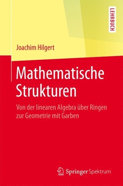 Joachim Hilgert - Mathematische Strukturen, E-bok