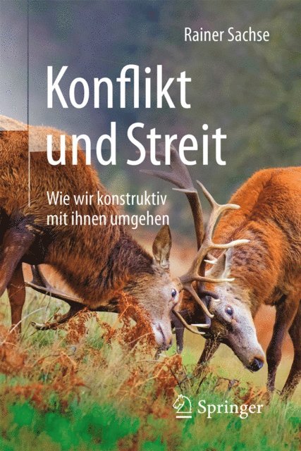Rainer Sachse - Konflikt und Streit, E-bok