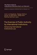 Exercise of Public Authority by International Institutions