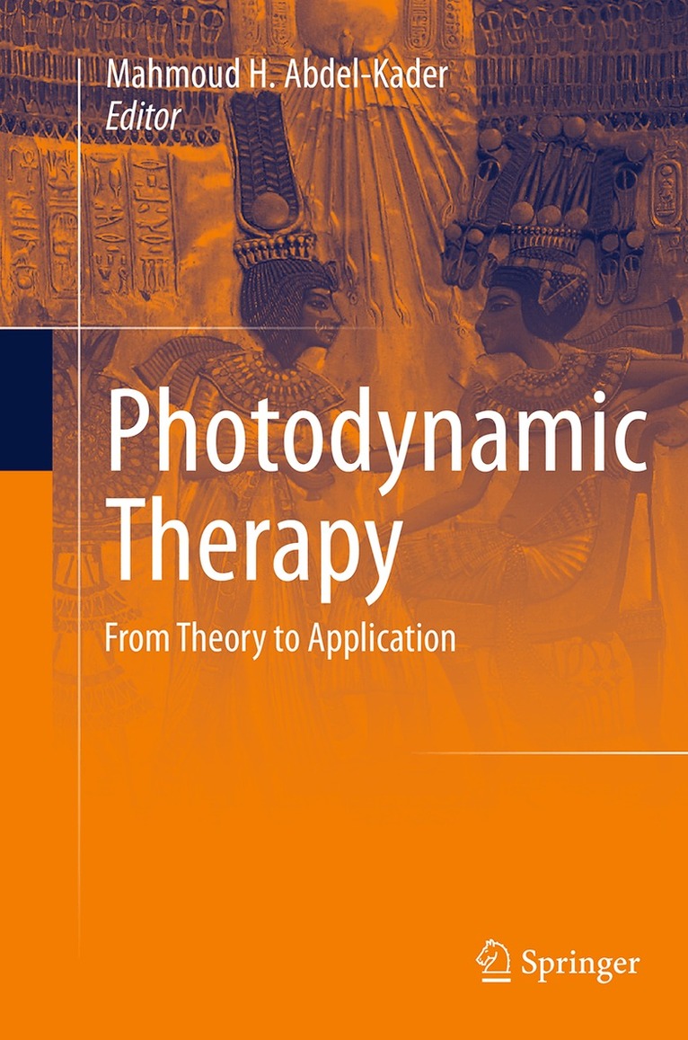 Mahmoud H. Abdel-Kader - Photodynamic Therapy, Häftad