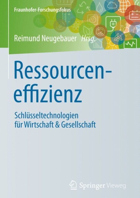 Reimund Neugebauer - Ressourceneffizienz, E-bok