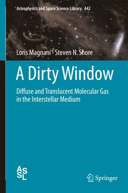 Steven N. Shore, Loris Magnani - Dirty Window, E-bok