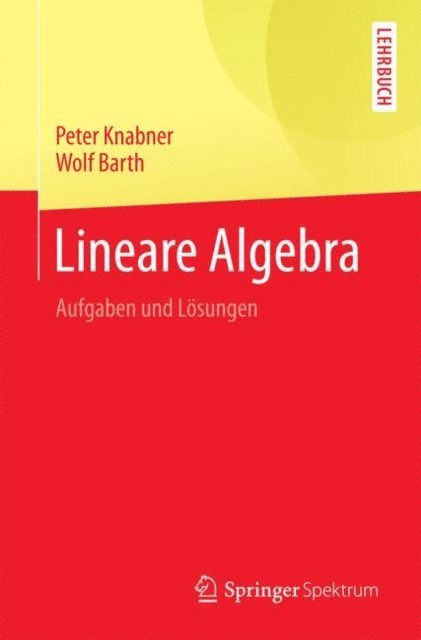 Wolf Barth, Peter Knabner - Lineare Algebra, E-bok