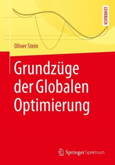 Oliver Stein - Grundzüge der Globalen Optimierung, E-bok