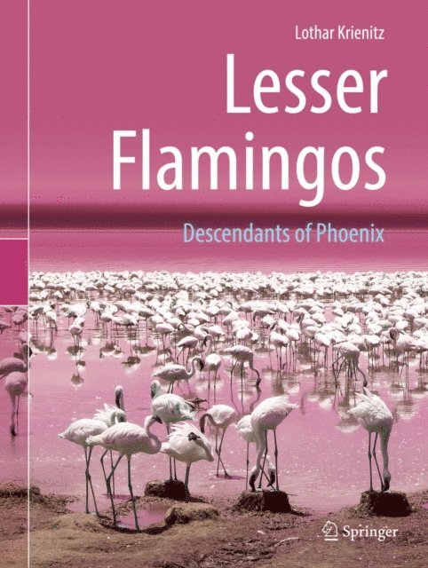 Lothar Krienitz - Lesser Flamingos, E-bok