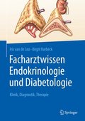 Facharztwissen Endokrinologie und Diabetologie