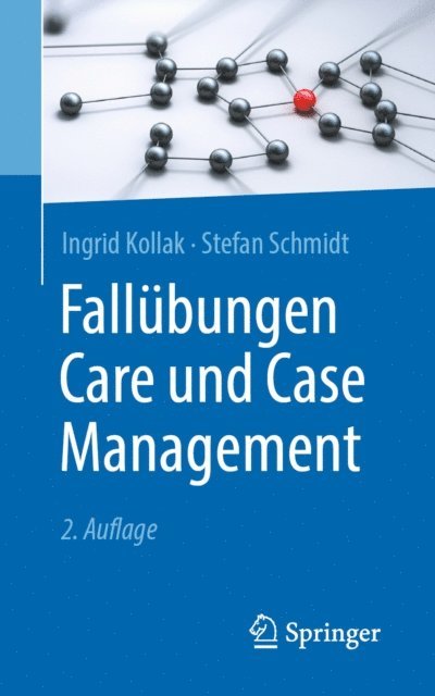Stefan Schmidt, Ingrid Kollak - Fallübungen Care und Case Management, E-bok