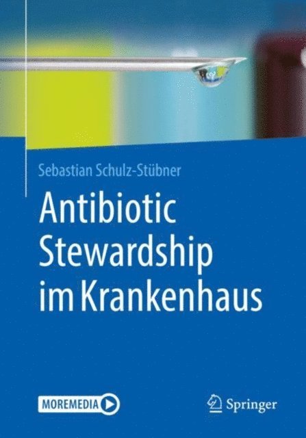 Sebastian Schulz-Stubner - Antibiotic Stewardship im Krankenhaus, E-bok