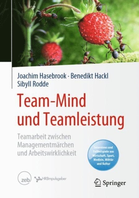 Sibyll Rodde, Benedikt Hackl, Joachim Hasebrook - Team-Mind und Teamleistung, E-bok