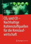 CO2 und CO ? Nachhaltige Kohlenstoffquellen für die Kreislaufwirtschaft