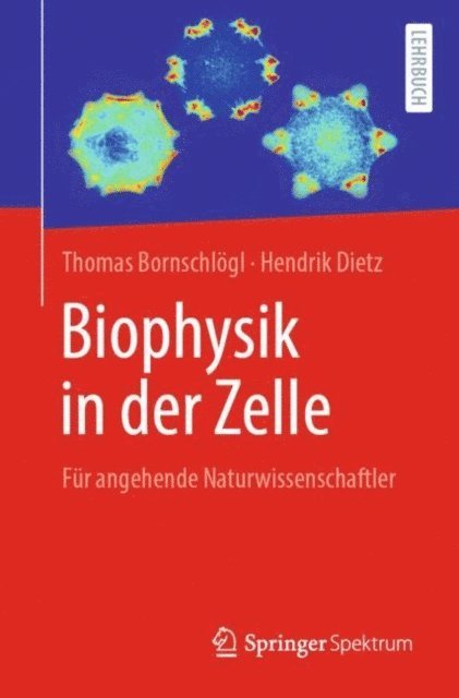 Hendrik Dietz, Thomas Bornschlogl - Biophysik in der Zelle, E-bok