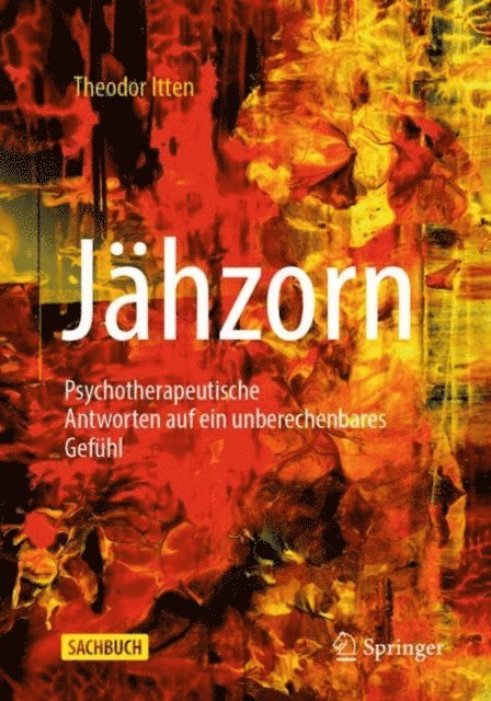 Theodor Itten - Jähzorn, E-bok