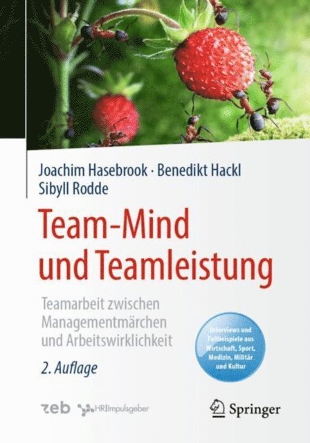 Sibyll Rodde, Benedikt Hackl, Joachim Hasebrook - Team-Mind und Teamleistung, E-bok