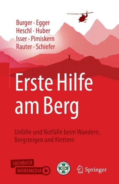 Joachim Schiefer, Roland Rauter, Matthias Pimiskern, Markus Isser, Tobias Huber, Stefan Heschl, Alexander Egger, Josef Burger - Erste Hilfe am Berg, E-bok