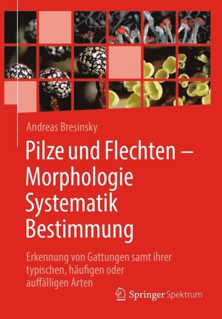 Andreas Bresinsky - Pilze und Flechten – Morphologie, Systematik, Bestimmung, E-bok