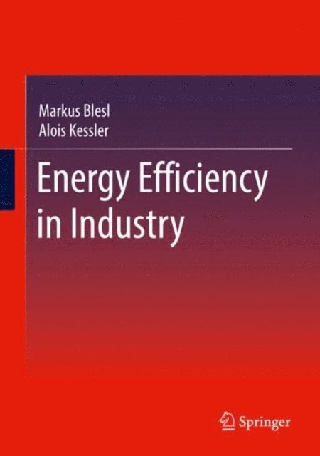 Alois Kessler, Markus Blesl - Energy Efficiency in Industry, E-bok