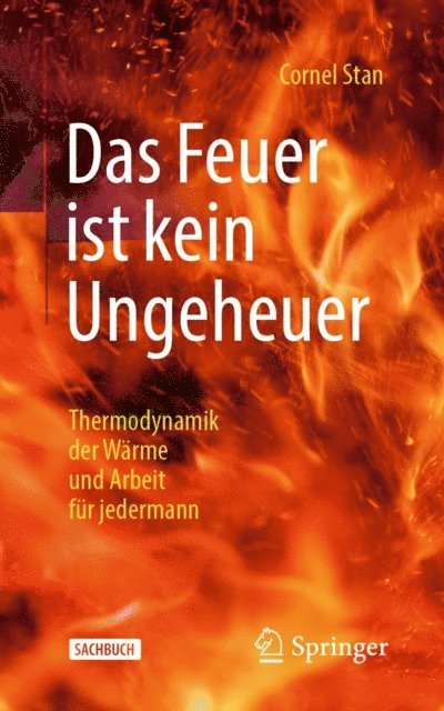 Cornel Stan - Das Feuer ist kein Ungeheuer, E-bok