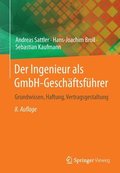 Der Ingenieur als GmbH-Geschftsfhrer