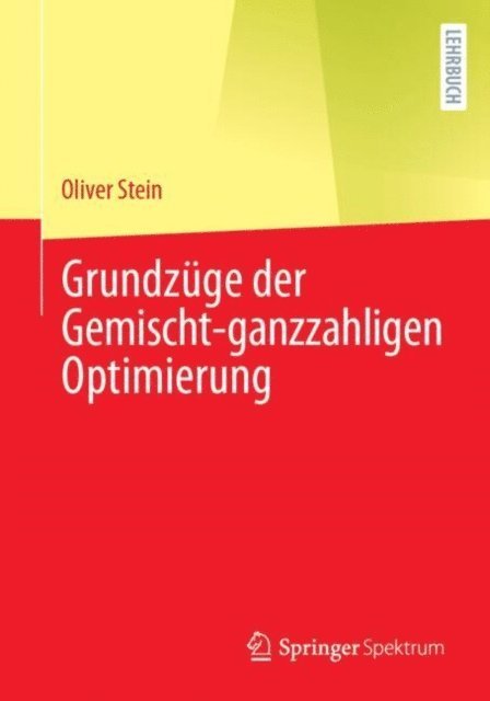 Oliver Stein - Grundzüge der Gemischt-ganzzahligen Optimierung, E-bok