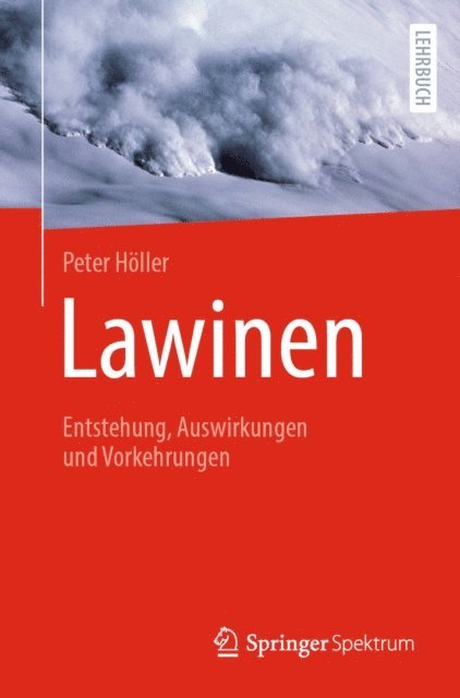 Peter Holler - Lawinen, E-bok