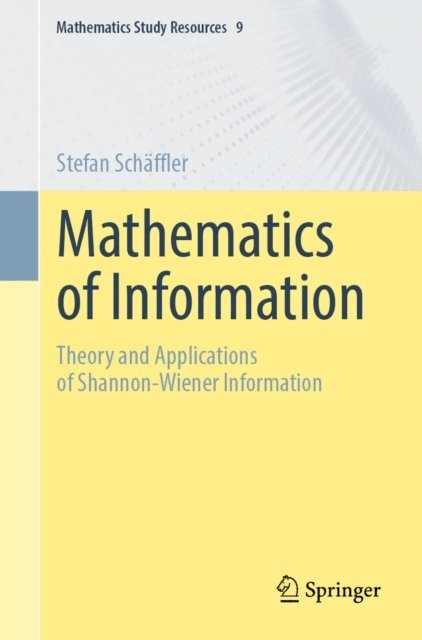 Stefan Schaffler - Mathematics of Information, E-bok