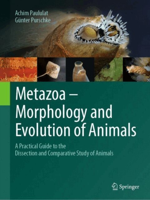 Gunter Purschke, Achim Paululat - Metazoa - Morphology and Evolution of Animals, E-bok