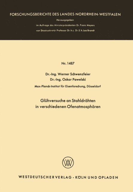 Werner Schwenzfeier - Glühversuche an Stahldrähten in verschiedenen Ofenatmosphären, E-bok