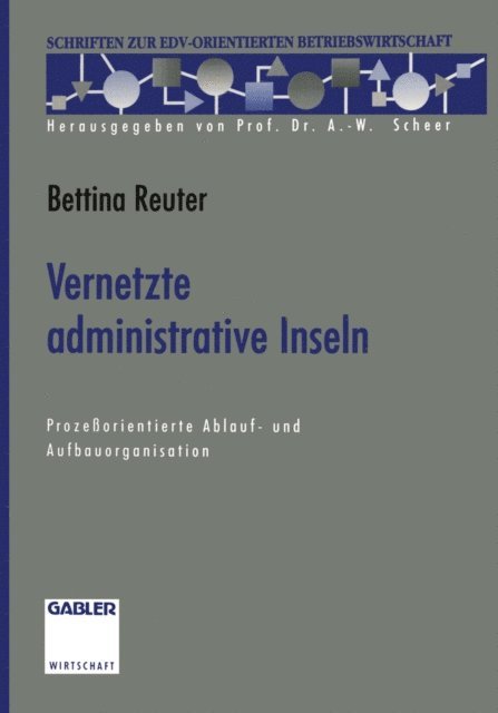 Bettina Reuter - Vernetzte administrative Inseln, E-bok