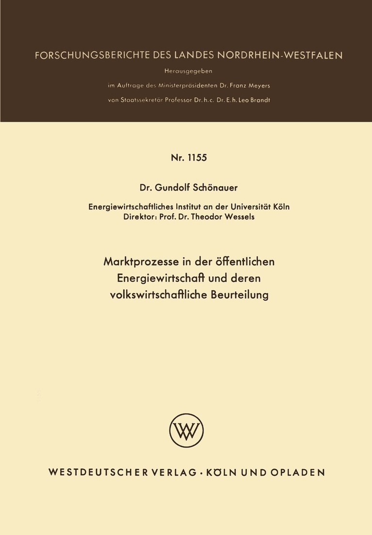 Gundolf Schönauer - Marktprozesse in der öffentlichen Energiewirtschaft und deren volkswirtschaftliche Beurteilung, Häftad
