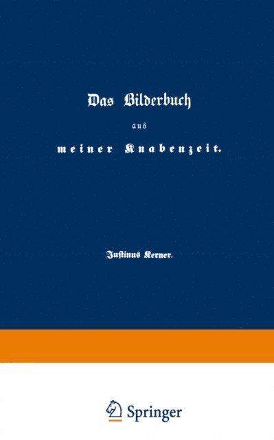 Justinus Kerner - Das Bilderbuch aus meiner Knabenzeit, E-bok