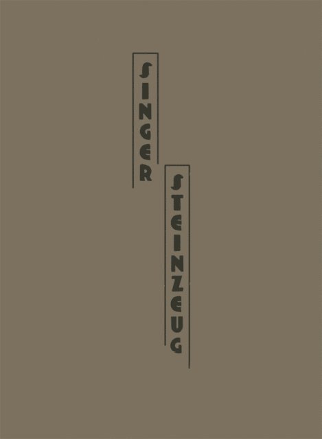Felix Singer - Das Steinzeug, E-bok