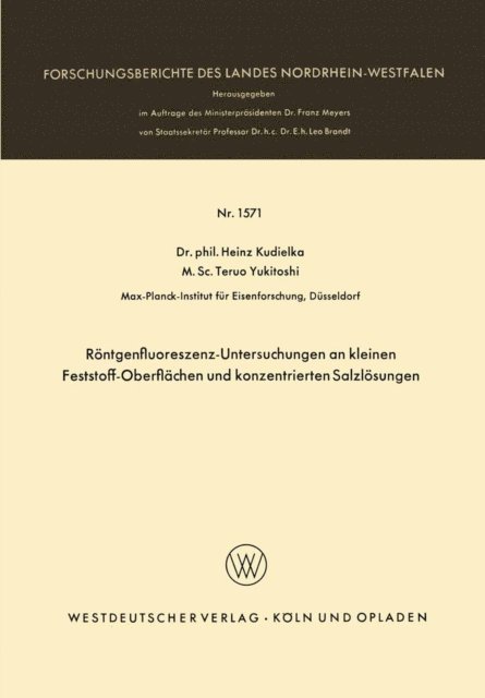 Heinz Kudielka - Röntgenfluoreszenz-Untersuchungen an kleinen Feststoff-Oberflächen und konzentrierten Salzlösungen, E-bok