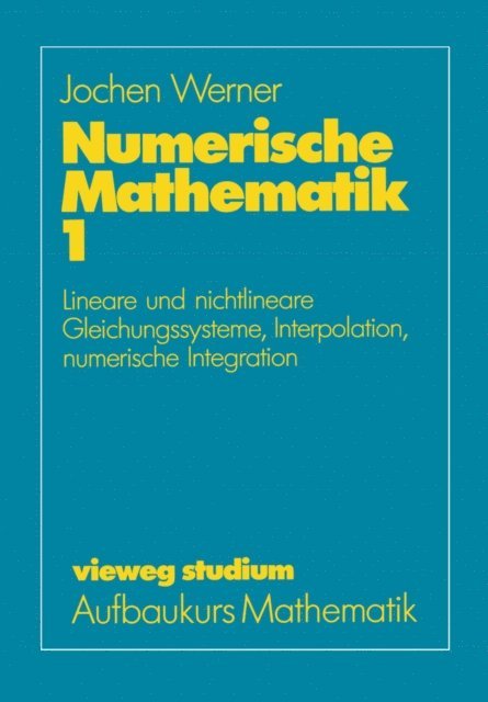 Jochen Werner - Numerische Mathematik, E-bok