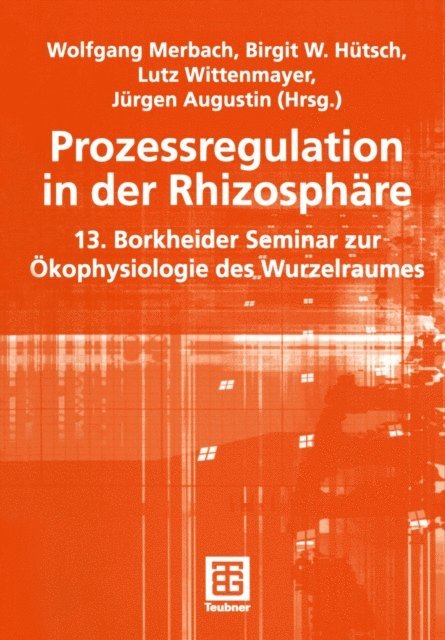 Jurgen Augustin, Lutz Wittenmayer, Birgit Hutsch, Wolfgang Merbach - Prozessregulation in der Rhizosphäre, E-bok