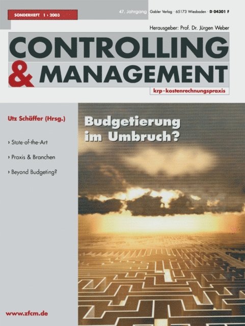 Utz Schaffer - Budgetierung im Umbruch ?, E-bok