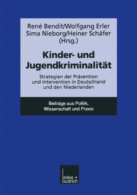 Heiner Schafer, Sima Nieborg, Wolfgang Erler - Kinder- und Jugendkriminalität, E-bok