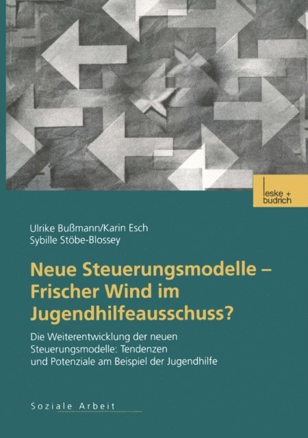 Sybille Stobe-Blossey, Karin Esch, Ulrike Bussmann - Neue Steuerungsmodelle — Frischer Wind im Jugendhilfeausschuss?, E-bok
