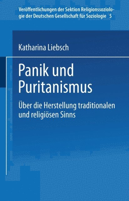 Katharina Liebsch - Panik und Puritanismus, E-bok