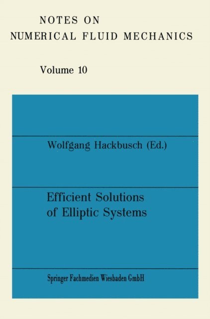 Wolfgang Hackbusch - Efficient Solutions of Elliptic Systems, E-bok