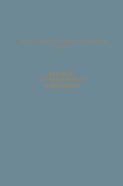 Walter-Raymond-Stiftung - Mitarbeiten Mitverantworten Mitbestimmen, E-bok