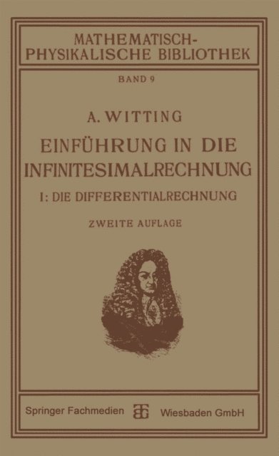 Alexander Witting - Einführung in die Infinitesimalrechnung, E-bok