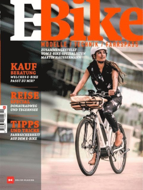 Martin Hauermann - E-Bike 2020, E-bok