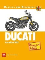 Matthew Coombs - Ducati Scrambler 803, Häftad