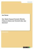 Multi Channel Vertrieb. Welche Chancen bietet der Vertrieb �ber das Internet?