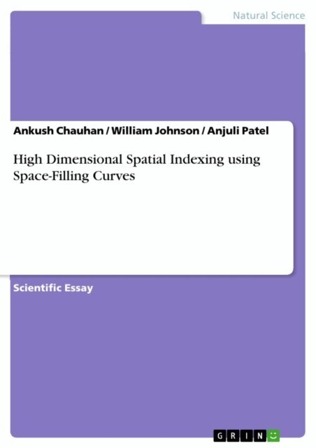 Anjuli Patel, William Johnson, Ankush Chauhan - High Dimensional Spatial Indexing using Space-Filling Curves, E-bok